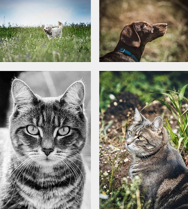 Natalie Schampaul Fotografie