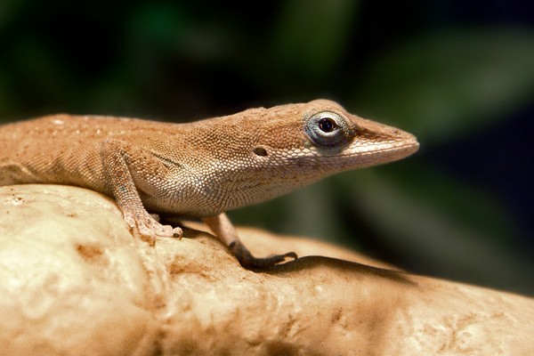 Natalie Schampaul Fotografie