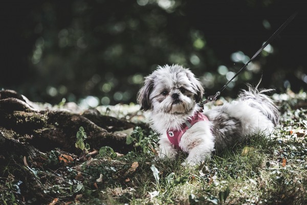 Natalie Schampaul Fotografie
