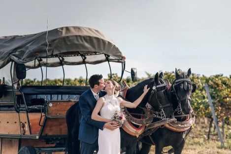 weinstrasse-pfalz-freinsheim-hochzeit-weinberge-weinlaube-brautpaar-hochzeitsfotos-pferde-kutsche-fotoshooting-natalie-schampaul-1.jpg
